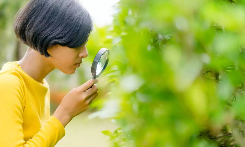 girl looking through lens on a tree